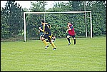 031.jpg