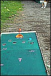 048.jpg