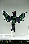 052.jpg