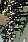 151.jpg