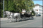 244.jpg