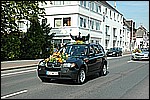 250.jpg