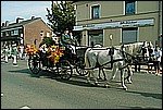253.jpg