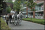 412.jpg