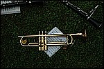424.jpg