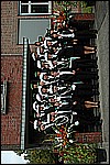 445.jpg