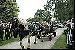 545.jpg