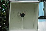 008.jpg