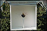 052.jpg