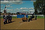 035.jpg