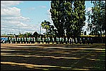 052.jpg