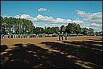 053.jpg