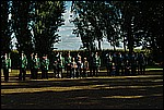 065.jpg