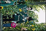 076.jpg