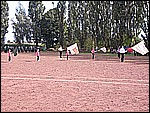 097.jpg