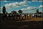 102.jpg