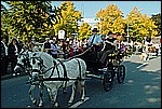 072.jpg