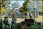 115.jpg