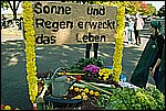 117.jpg