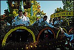 119.jpg