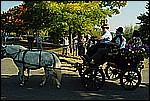122.jpg