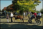 123.jpg