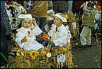 140.jpg
