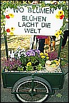 142.jpg
