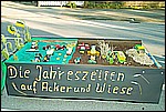 163.jpg