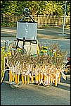 164.jpg