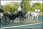 172.jpg