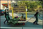 173.jpg