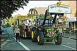 181.jpg