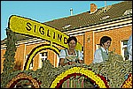 182.jpg