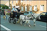 183.jpg