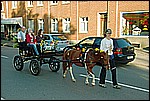 184.jpg