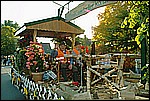 191.jpg