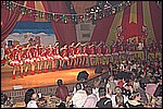 155.jpg