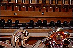 033.jpg