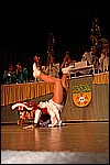 136.jpg