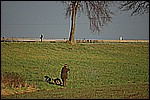 021.jpg