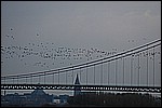 030.jpg