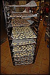 030.jpg
