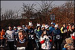 204.jpg