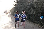 237.jpg