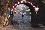 250.jpg