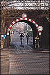 258.jpg