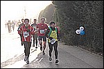 276.jpg