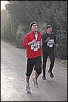 282.jpg