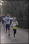 286.jpg